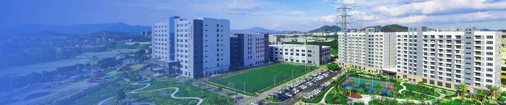 社會責(zé)任