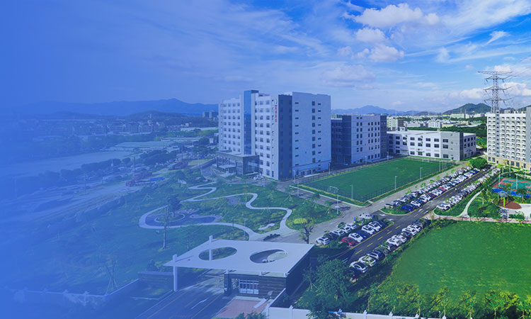 社會責(zé)任